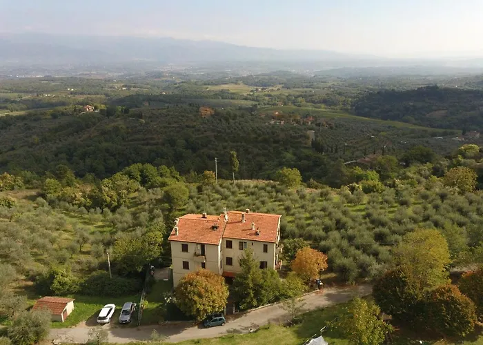 La Casa Viola